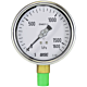 0 to 1600 KPA 3/8 BSPT 100mm Liquid Filled  304 stainless steel Pressure Gauge (2702022)