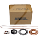 Ansul CO2 Max Valve Service / Recharge Kit (78764)